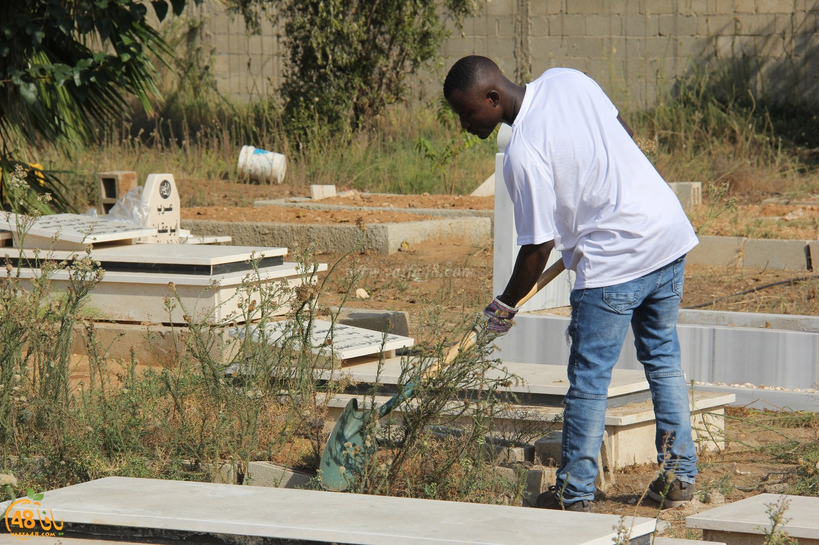 tasoo tandefet (86).jpg